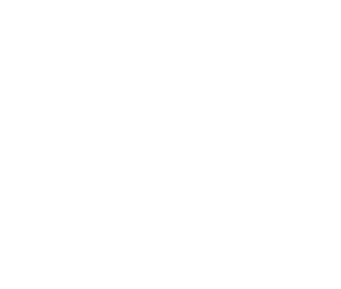 Suitcase Icon