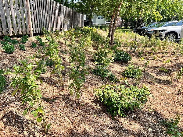 Private Stormwater Facility at Smith Coffee