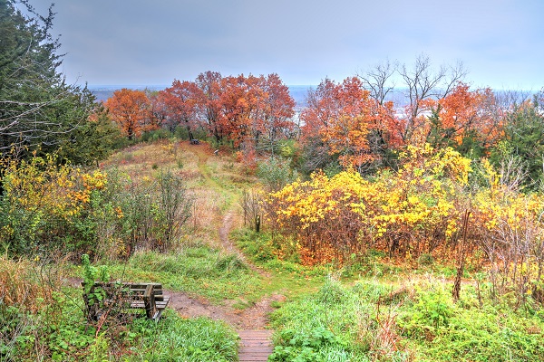 Richard T Anderson Conservation Area