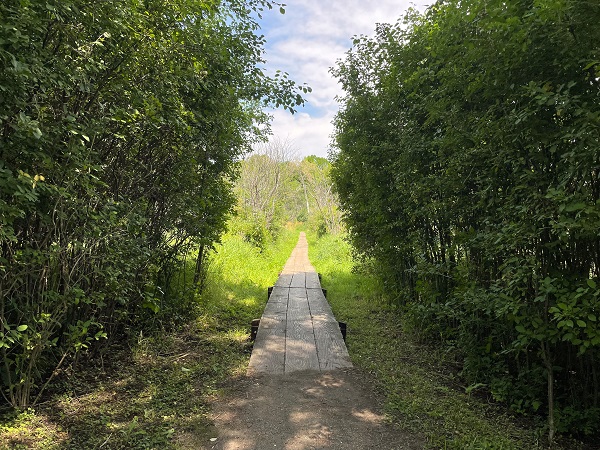 Edenbrook Conservation Area