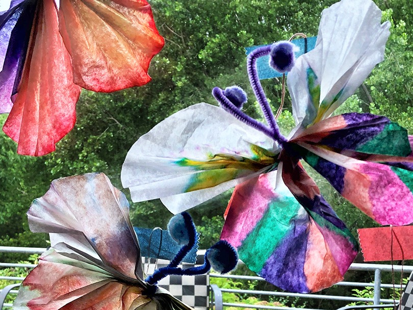 Color dipped coffee filters crafted as butterflies on a window