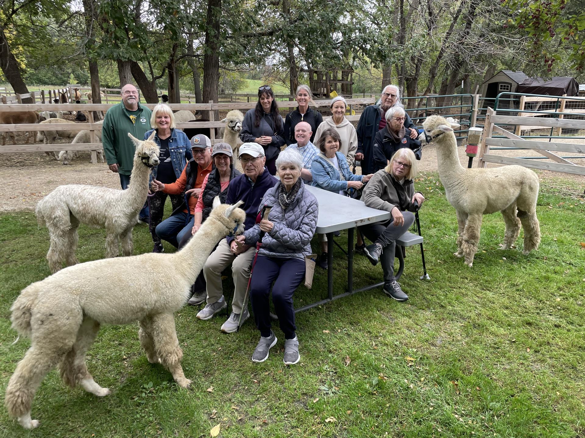 Group of participants in Parkinson's fitness program at alpaca farm