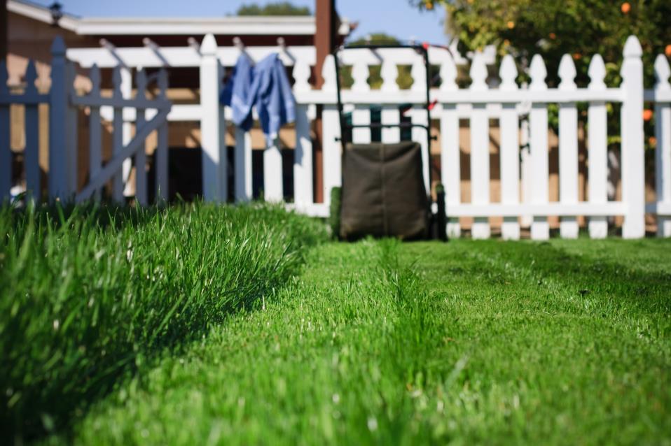 Lawn Care image