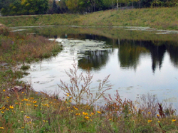 Stormwater Pond