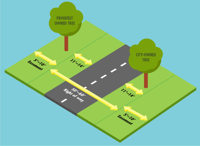 Graphic showing city-owned tree in the right of way and privately owned tree outside the right of way