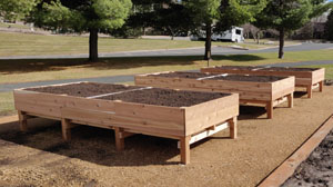 Pioneer Park Raised Garden Beds