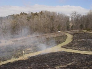 Mid Prairie Burn