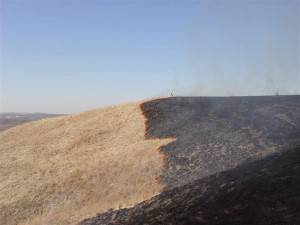 Prairie Burn