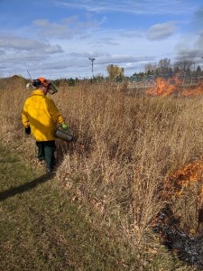 Prescribed Burn