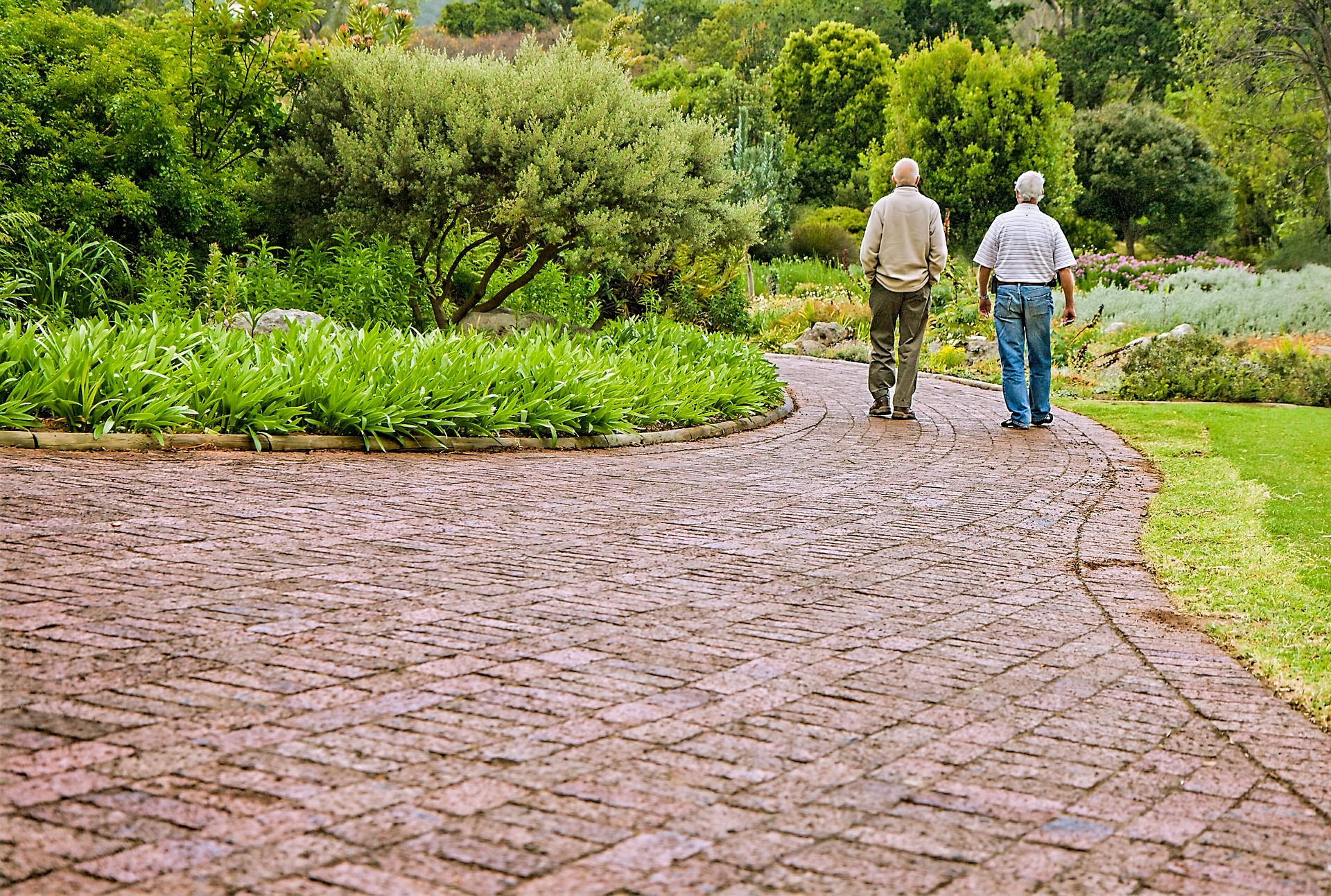 Two older men walking on path