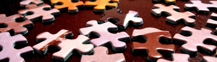 Puzzle Pieces