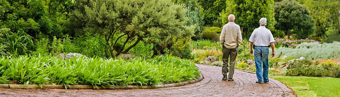 Two older men walking on path